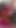 Padmavati Holi 4 Mart 2026'da en viral video | Klip 1