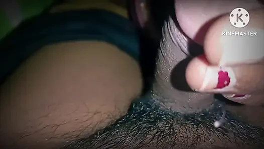 Пенджабская сводная сестра дези, видео XXX