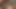 Süße Twinks auf Blowjob und Arschlecken