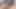 BBW pussy licking