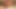 UncutKing Jao Lucas Breeds Twink Hung Papi Hardcore action CUMSHOT!