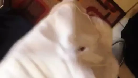 Intimo di mia suocera