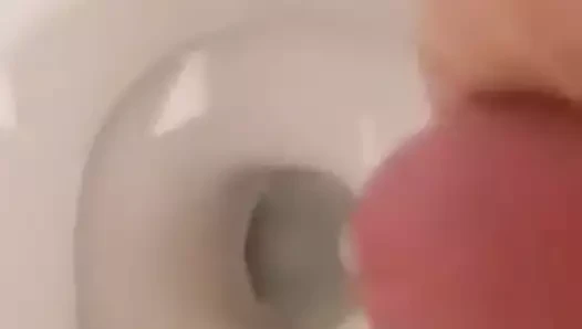 Autista del pulmino per la Romania in hotel 2