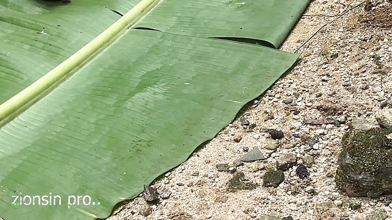 I Was so Horny That I Arrange a Backyard Fuck Date with My Landlords Stepdaughter in Our Backyard. It Turns Out so Smoothly.