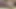 Sexislife2 The Uncut Series Vol3 - The Rolling Foreskin