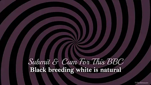 BNWO 2026 - Trailer Compilation - Includes most newest vids