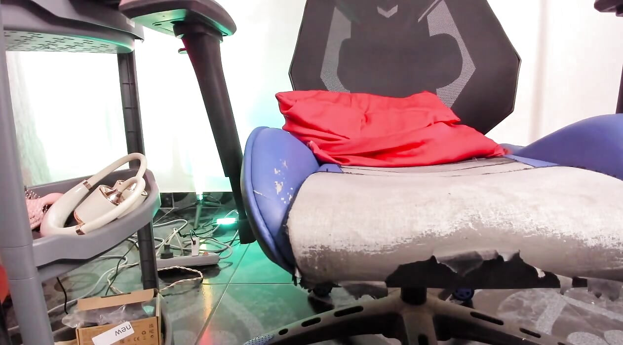 Bella Arrives at Her House and Connects with Her Friends Online