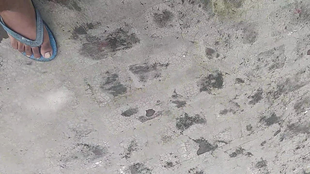 Evimin terasına gidiyorum, penisimi çıkaracağım ve boşalmak için bir ağaçta mastürbasyon yapıyorum.