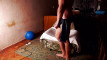 Pregled videozapisa