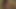 Jerking pics Amber Lynn and semen my cock