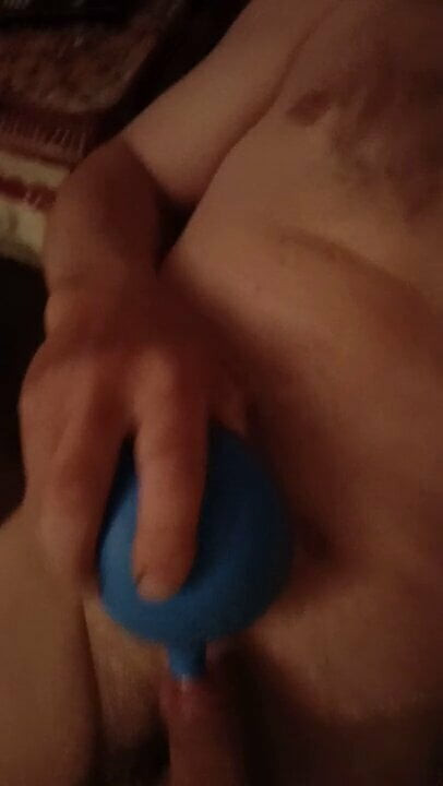 Penis