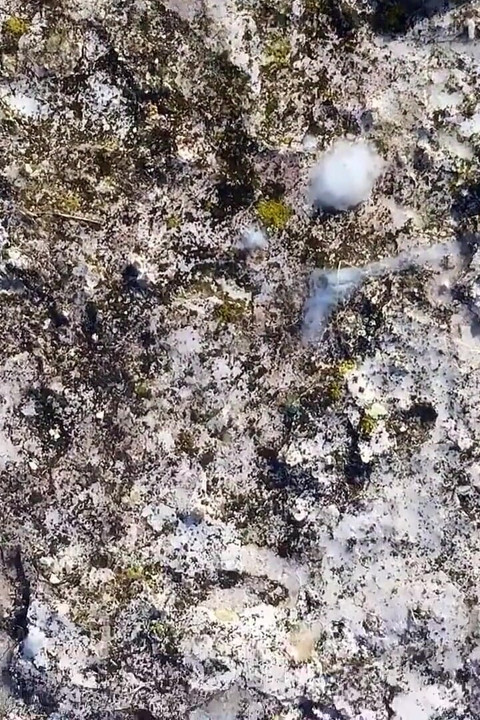 Piss on My Cum on Stone Outdoor