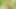 Desi Indian young sexy boy Rohit hard cumshot in the forest
