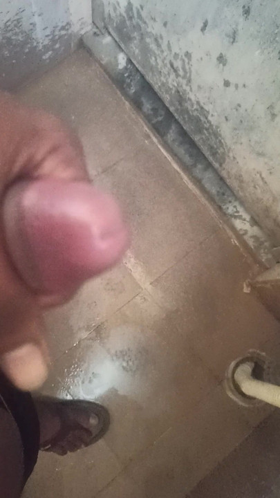Black cock