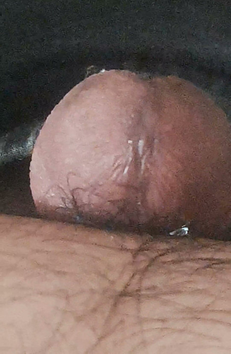 Pula plânge