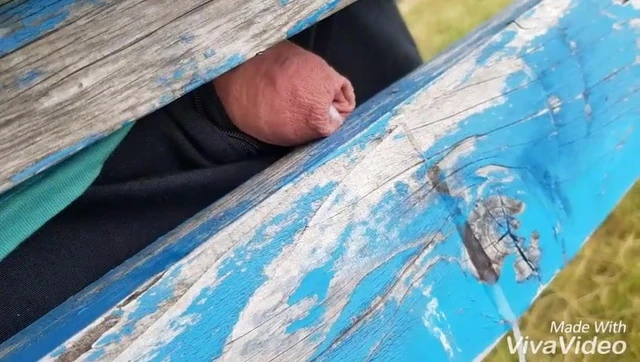 Public masturbation