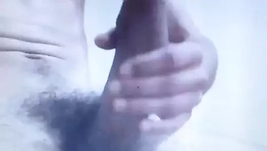 Büyük kıllı horoz kam