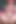 Makima (oyun) Cm