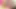 Big Dicked TS Adriana Rodrigues Strokes To Climax