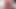 Indian Desi bhabhi cum in mouth