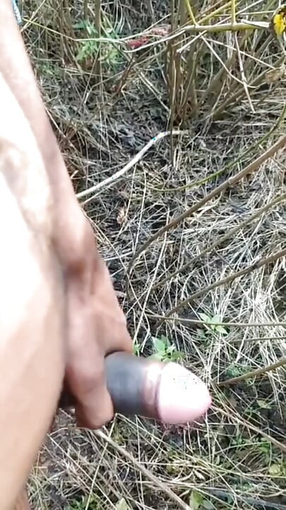 叢林中的戶外射精合輯