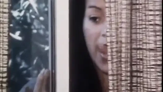 Klasik porno dvd'leri: hafta sonu kovboy kız: bölüm 3