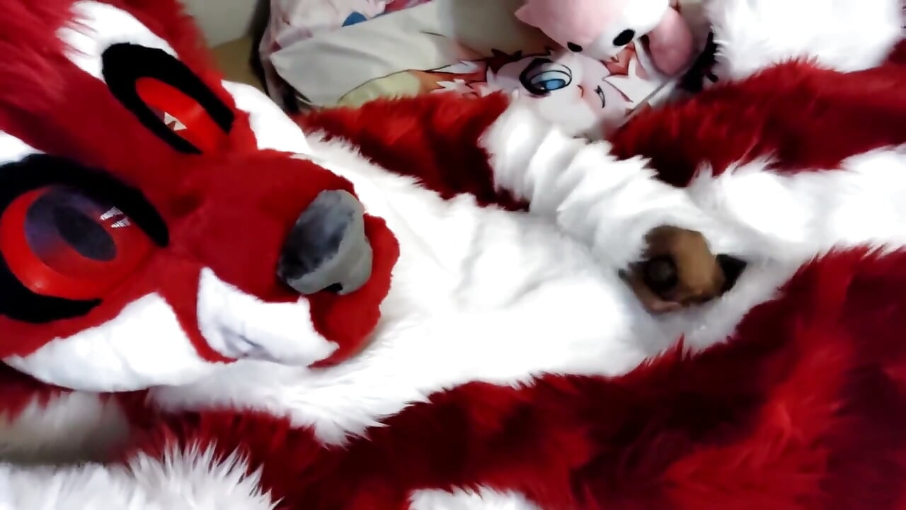 Zich aftrekken en voetenpaws laten zien in een full-body fursuit