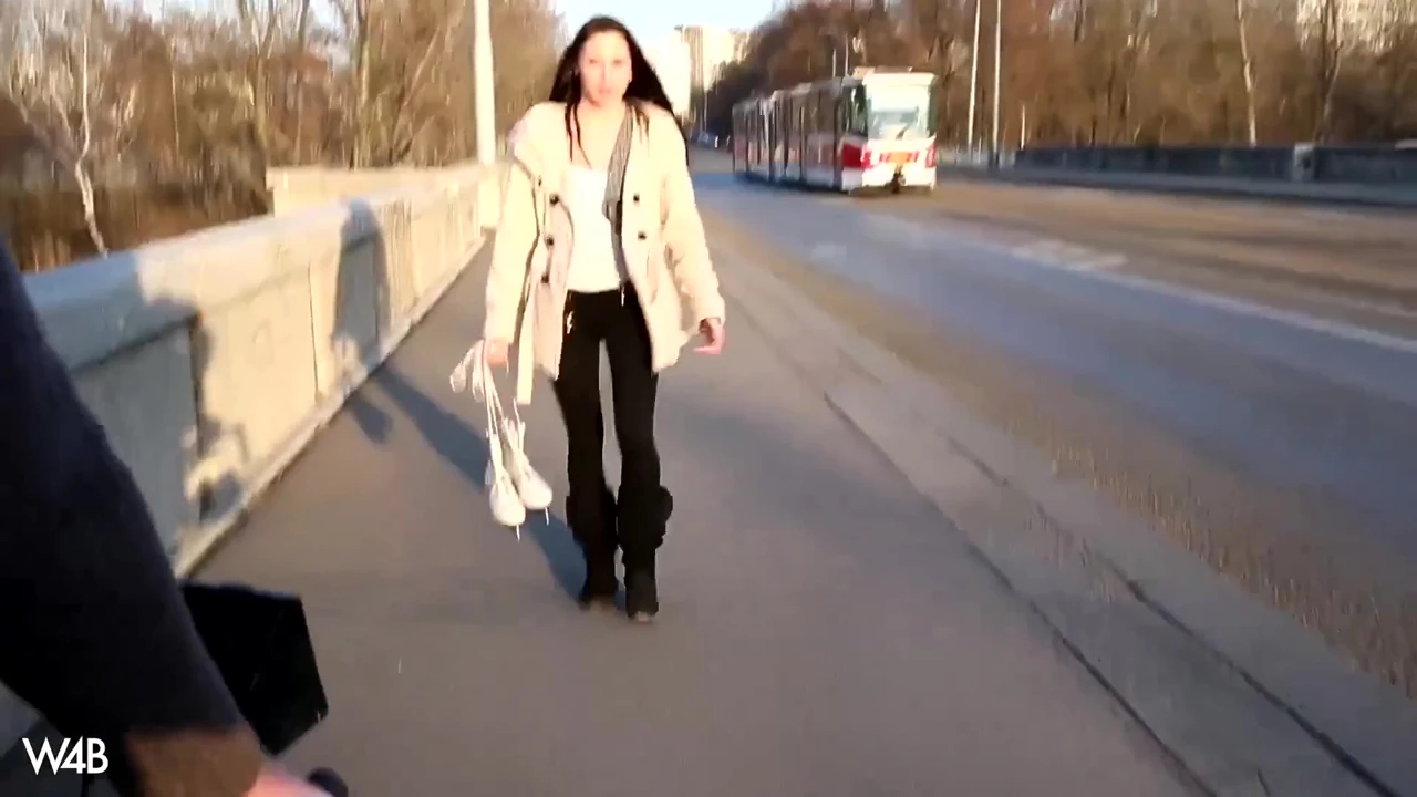 Ice Skater