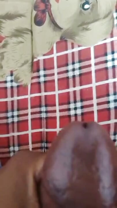 Polla sudanesa