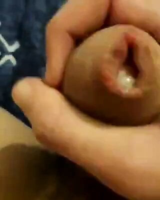 cock