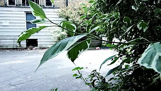 Gefesselte französische schlampe in intensiver BDSM-action gefickt