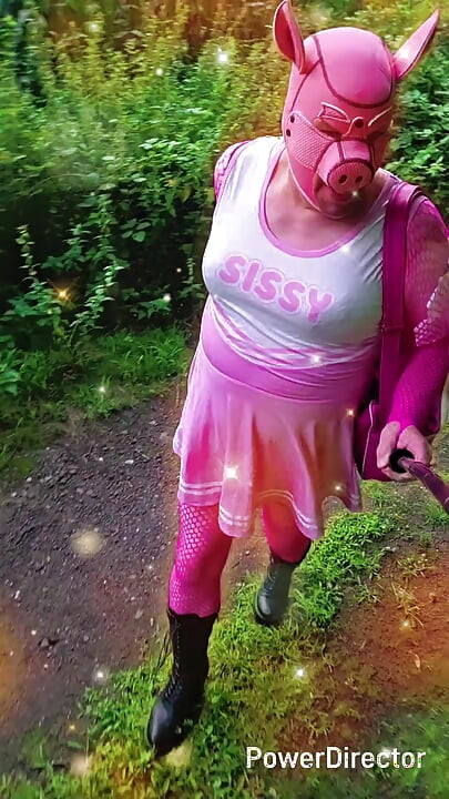 Debela sissy svinja