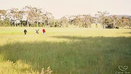 Homeward Bound Part 3: Stray Featuring Charlie Forde, Finley Kay, Caleb Arcane