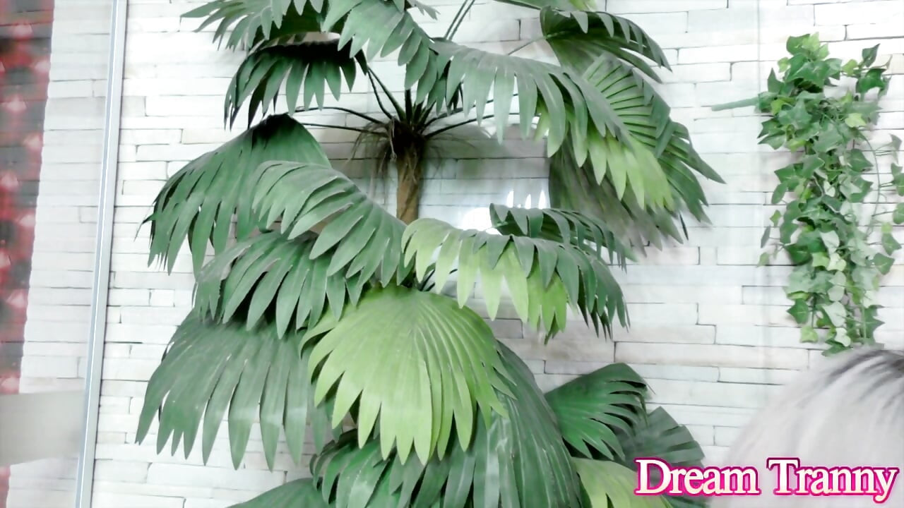 ट्रांस सुनहरे बालों वाली Bruna Sayuri की मशीन से चुदाई