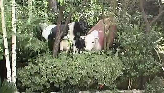 Heiße Brünette reibt sich im Freien