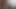 30 dakikalık MILF (Orta Yaşlı Kadin) Yarrak ve İki Dildo ile Oynuyor