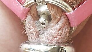 Dripping precum from my inverted chastity cage hands free