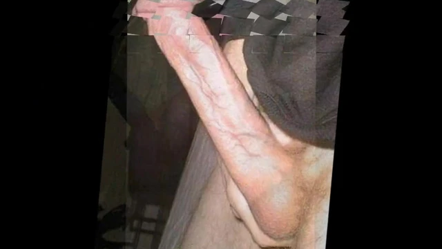 white  cock