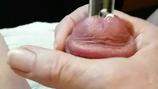 Xl sondaj