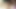 アジアンエンジェル28165
