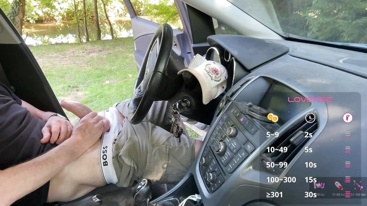 Ett bilmöte vid floden