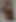 Nsfw nackte Tiktok-Herausforderung wischen Sie sie ab, BDSM mit Gürtel am Hals