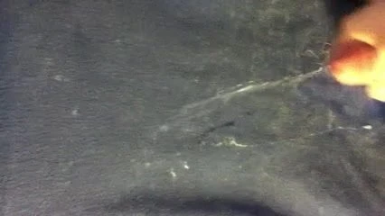 Just another cumshot vid