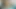 18 yaşındaki kedi büyük horoz tarafından gergin