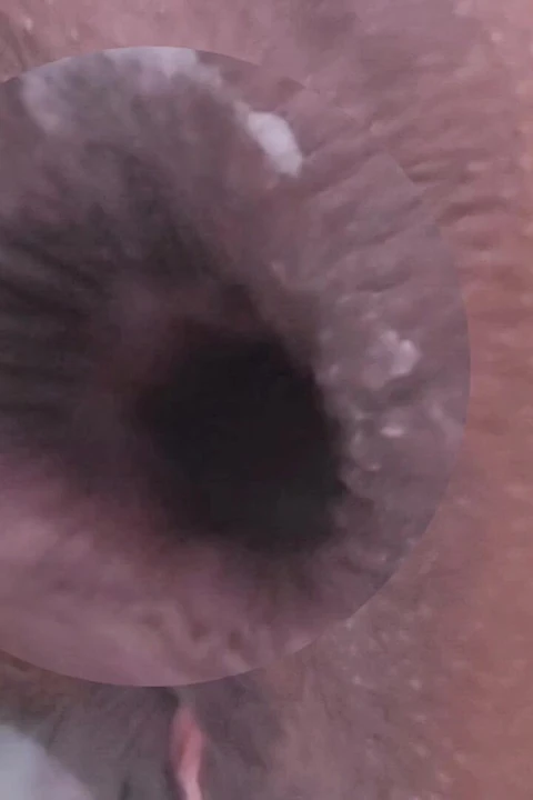 MILF Asshole Getting Fucked Really Hard