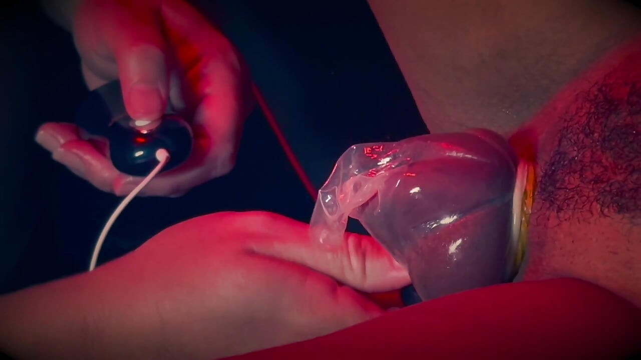 扭曲的仙女 - 玫瑰鞘翅目 - 第三部分