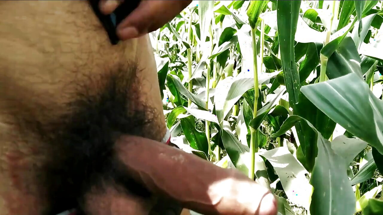 Hairy Cock Handjob and Cumshot in Outdoor Masturbation