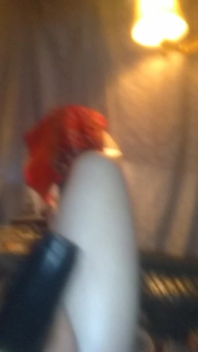 Je viens de me réveiller et j'ai joué avec ma chatte en plastique