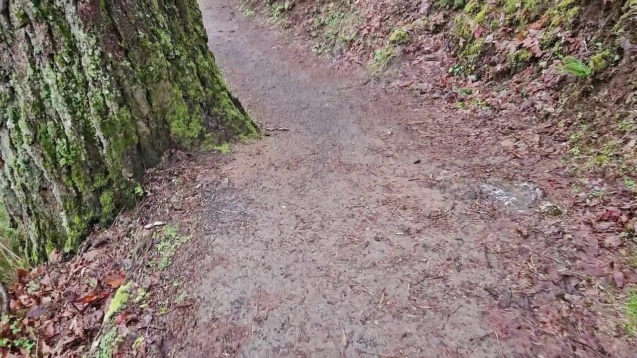Hike-n-piss på en regnværsdag