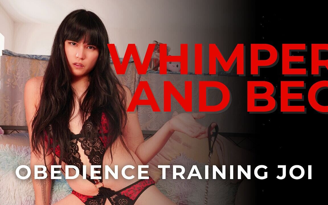 Whimper und betteln, gehorsamstraining, WICHsanleitung